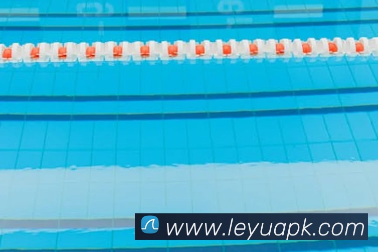 乐鱼体育全站App