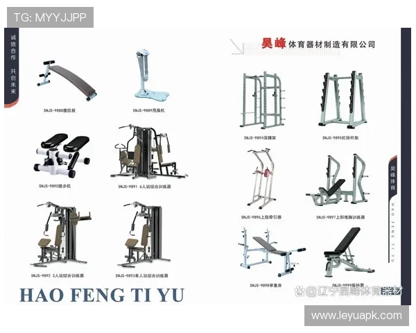 国内体育健身器材主流厂商排行榜 国内体育健身器材主流厂商排行榜