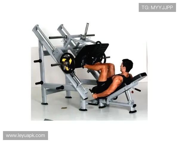 家用健身器材如何锻炼腿部?体育教学实用参考 家用健身器材如何锻炼腿部?体育教学实用参考