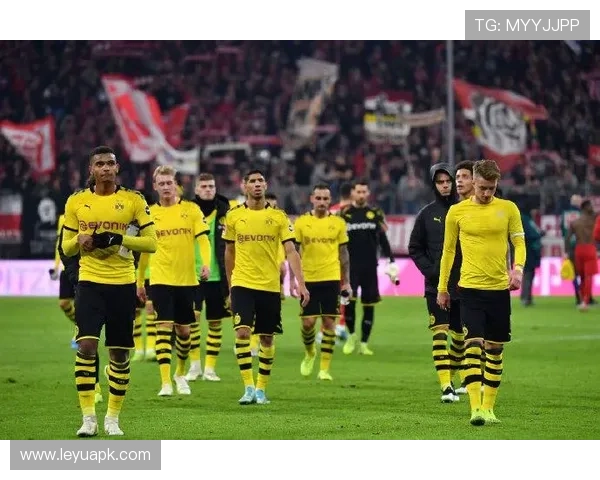 德甲最小主场球队的特色与其主场优势解析 德甲最小主场球队的特色与其主场优势解析